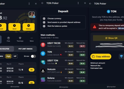 HOW TO MAKE A DEPOSIT IN POKERTEN?